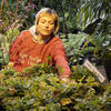 A Tyler School of Art and Architecture student works on an exhibit at the Philadelphia Flower Show