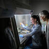 Two Temple researchers in lab coats work with a syringe and test tube