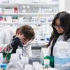 Katz School of Medicine students collaborating in the Center for Substance Abuse Research lab