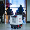 A Temple-themed robot rolling down a hallway on campus. The robot is a white box with the Temple 'T' logo and has four wheels.