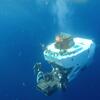 Alvin, a submarine, travels to the bottom of the ocean