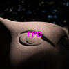 the owl statue on main campus with the letters 'fpo,' for placement only