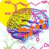 A brightly illustrated collage of the brain and its nervous system