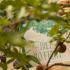 A close up of the Tree of 40 Fruit branches. Behind it, a hand holds the care guidebook. The cover reads: Tree of 40 Fruit.