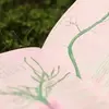 The care manual for the tree of 40 fruits on the grass. The wind is flipping its pages.