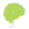 A block print of the human brain