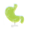 A block print of a human stomach in green and yellow ink